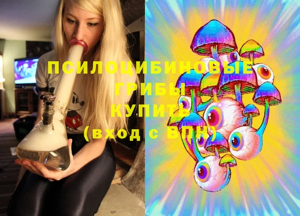 mdpv Волоколамск